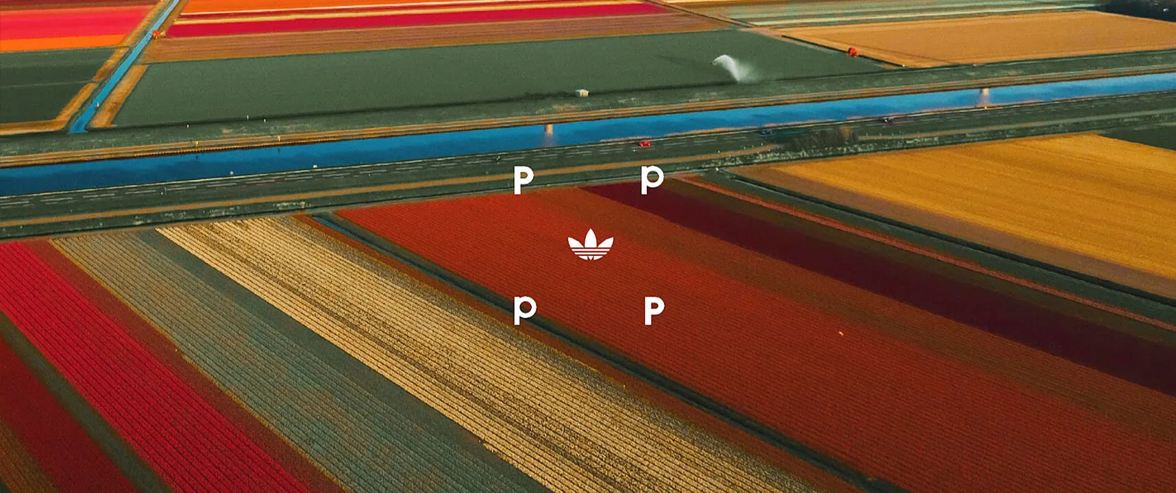 adidas x Pop Trading Co - ARROW & BEAST
