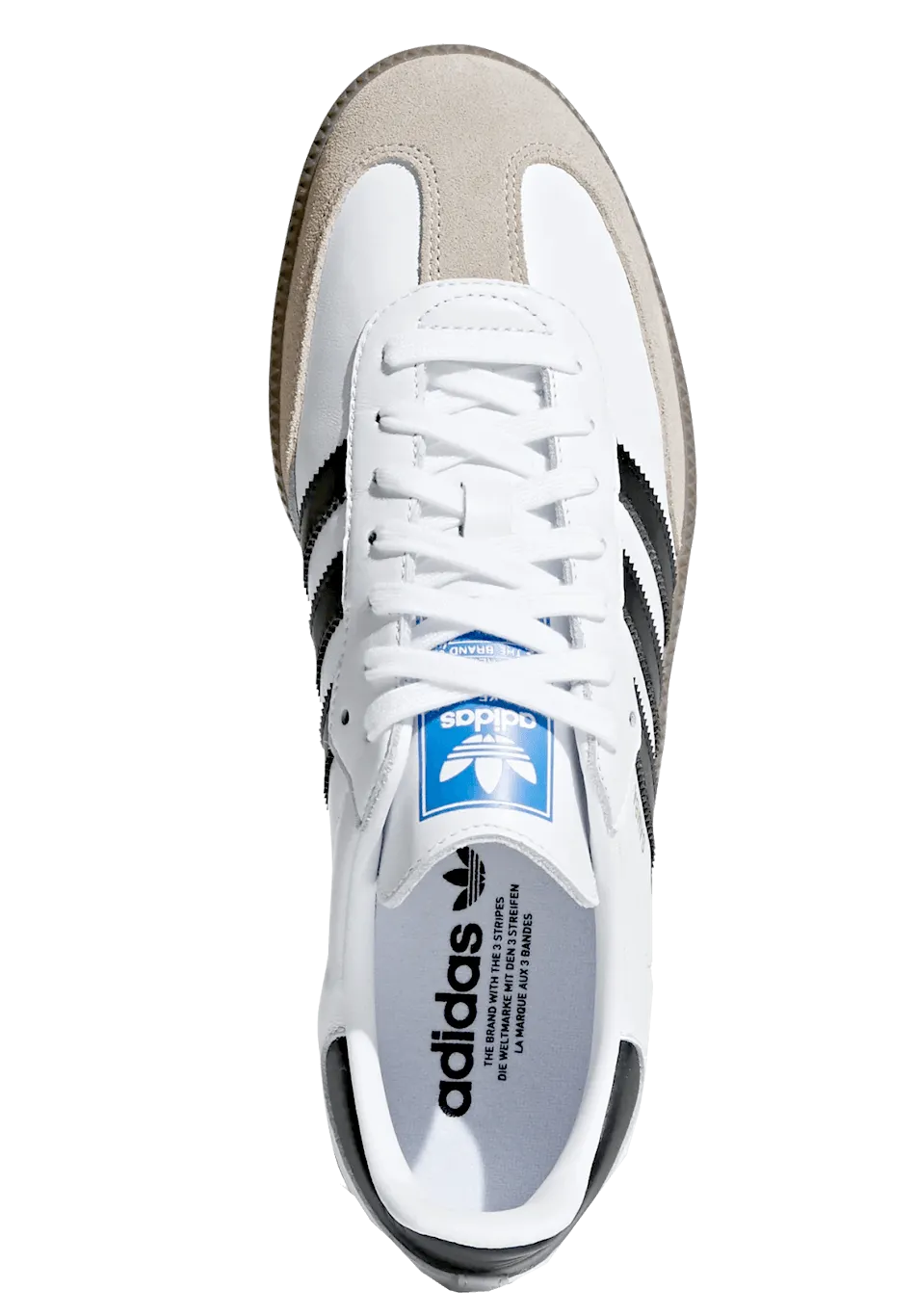 adidas Skateboarding Samba ADV Shoe Cloud White GZ8477 ONLINE ONLY - ARROW & BEAST