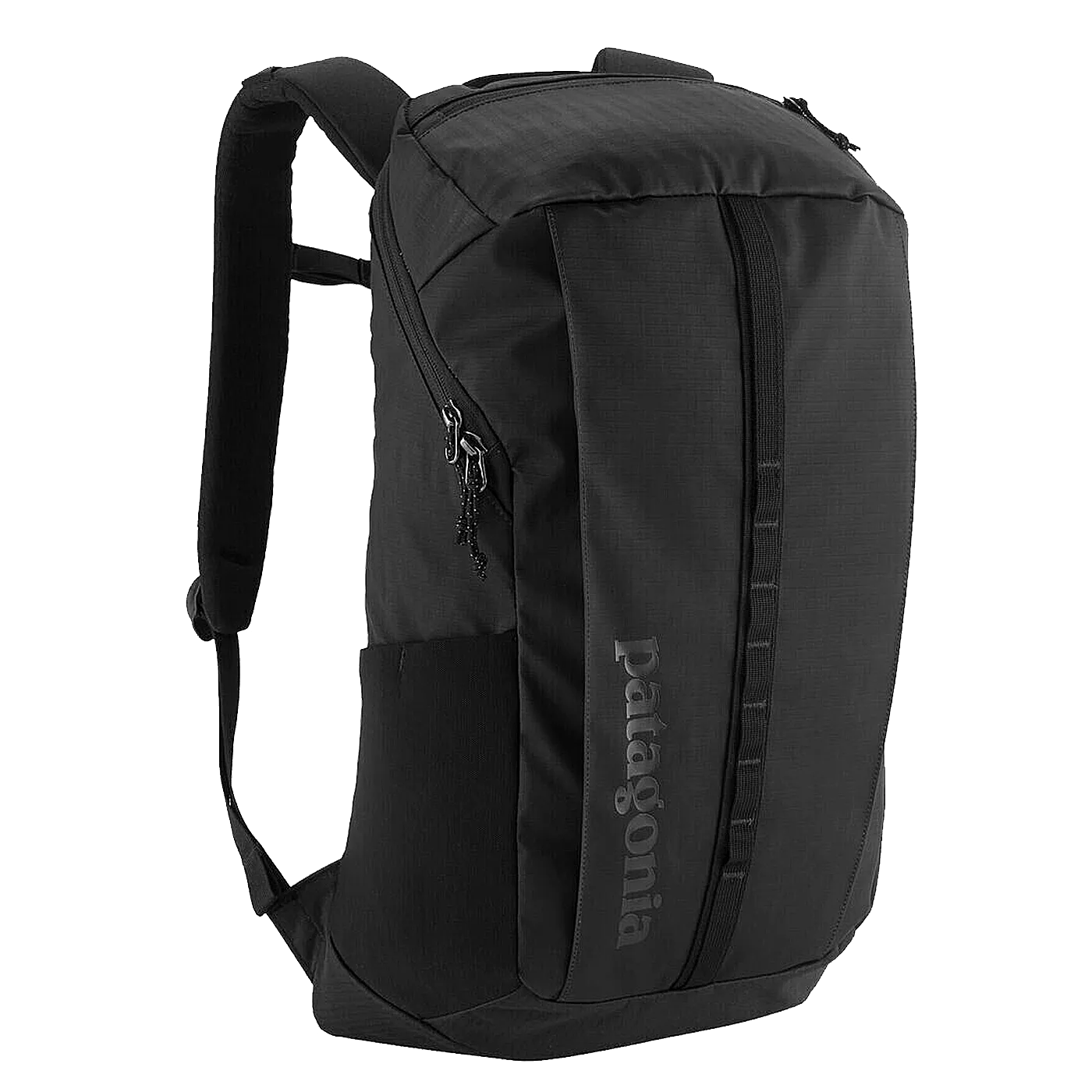 Patagonia Black Back Pack 25L Black