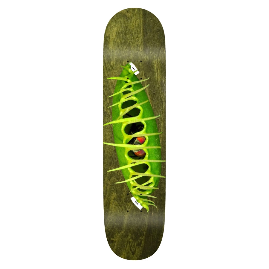 Klebe-Skateboards – Ostrowski „Fly Trap“ 1