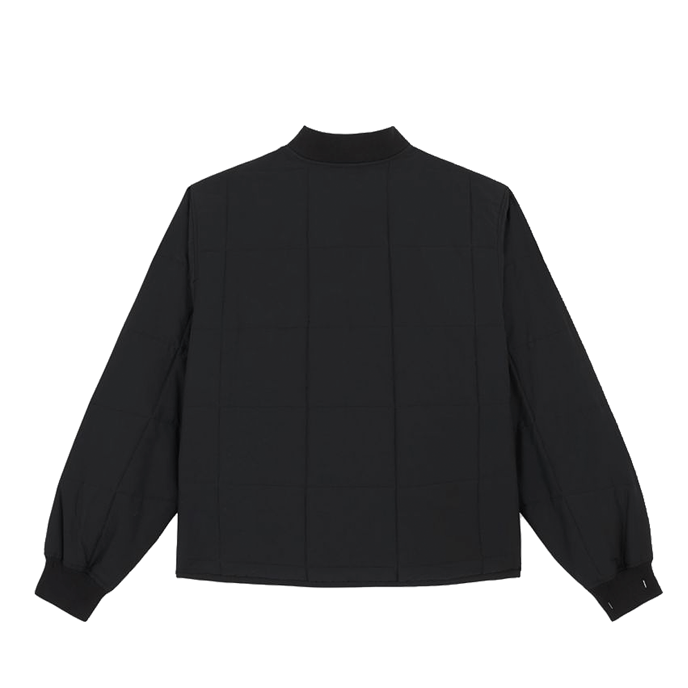 Dickies Gardiner Liner Jacket Black