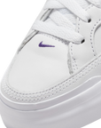 Nike SB Pogo Plus ISO Chaussures de skate Court Violet DZ4916-100 