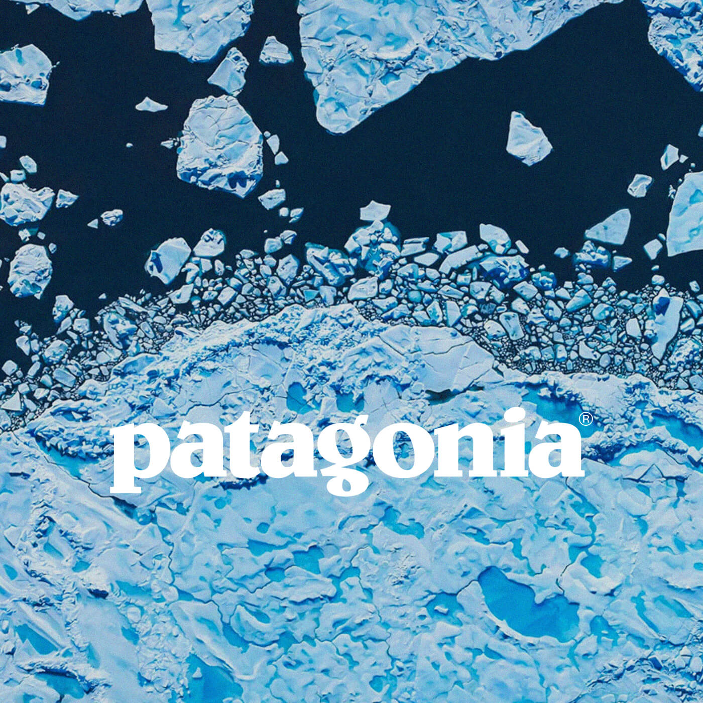 patagonia at ARROW & BEAST Banner