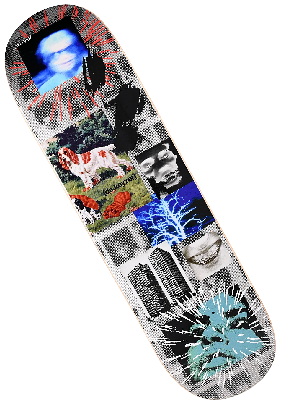 Quasi Skateboards Bobby De Keyzer 'Hard Drive' Deck