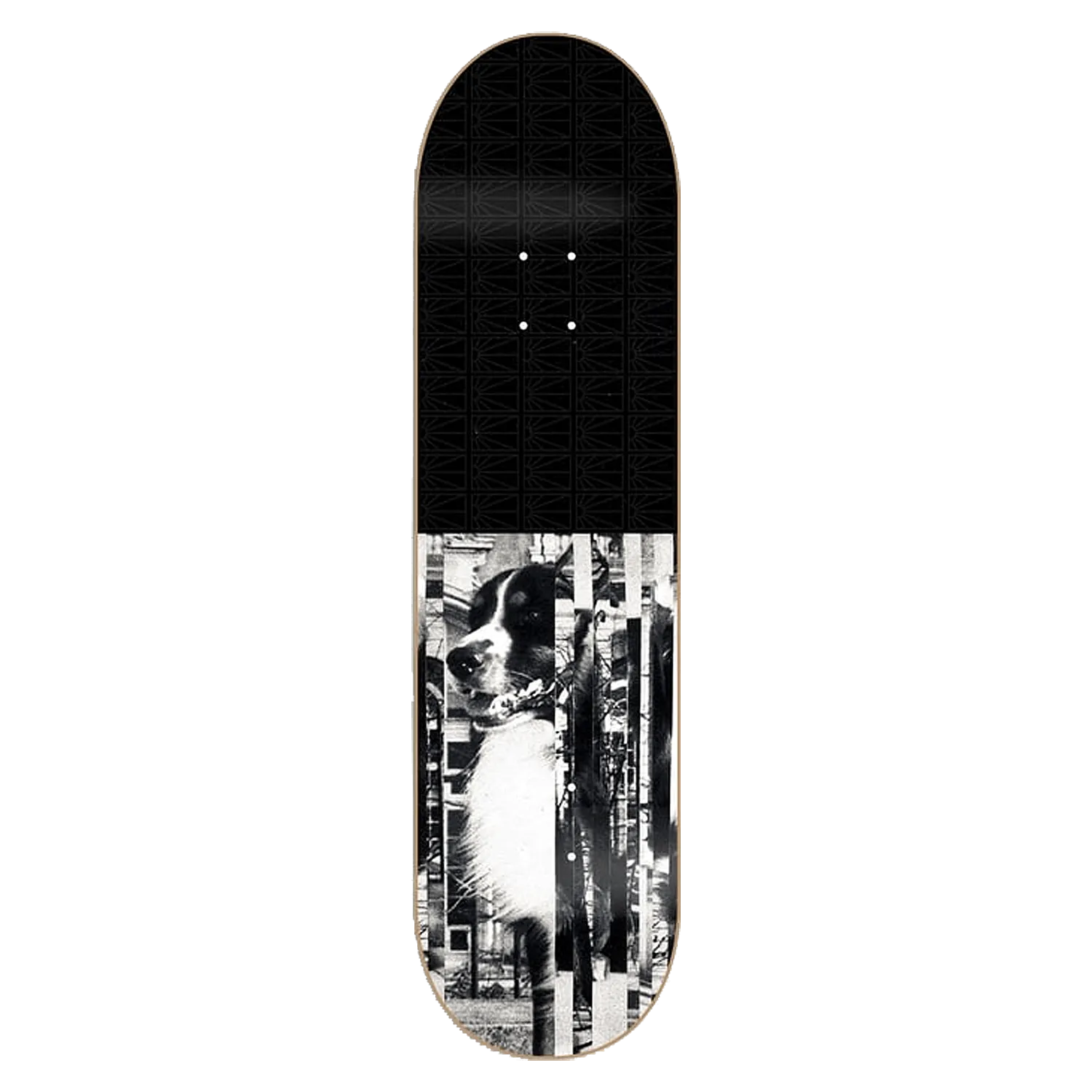 PACCBET #15 Val Bauer Pro Deck - ARROW & BEAST
