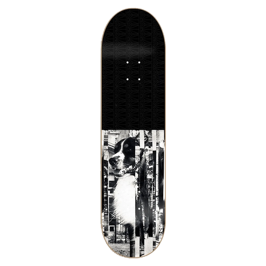 PACCBET #15 Val Bauer Pro Deck - ARROW & BEAST