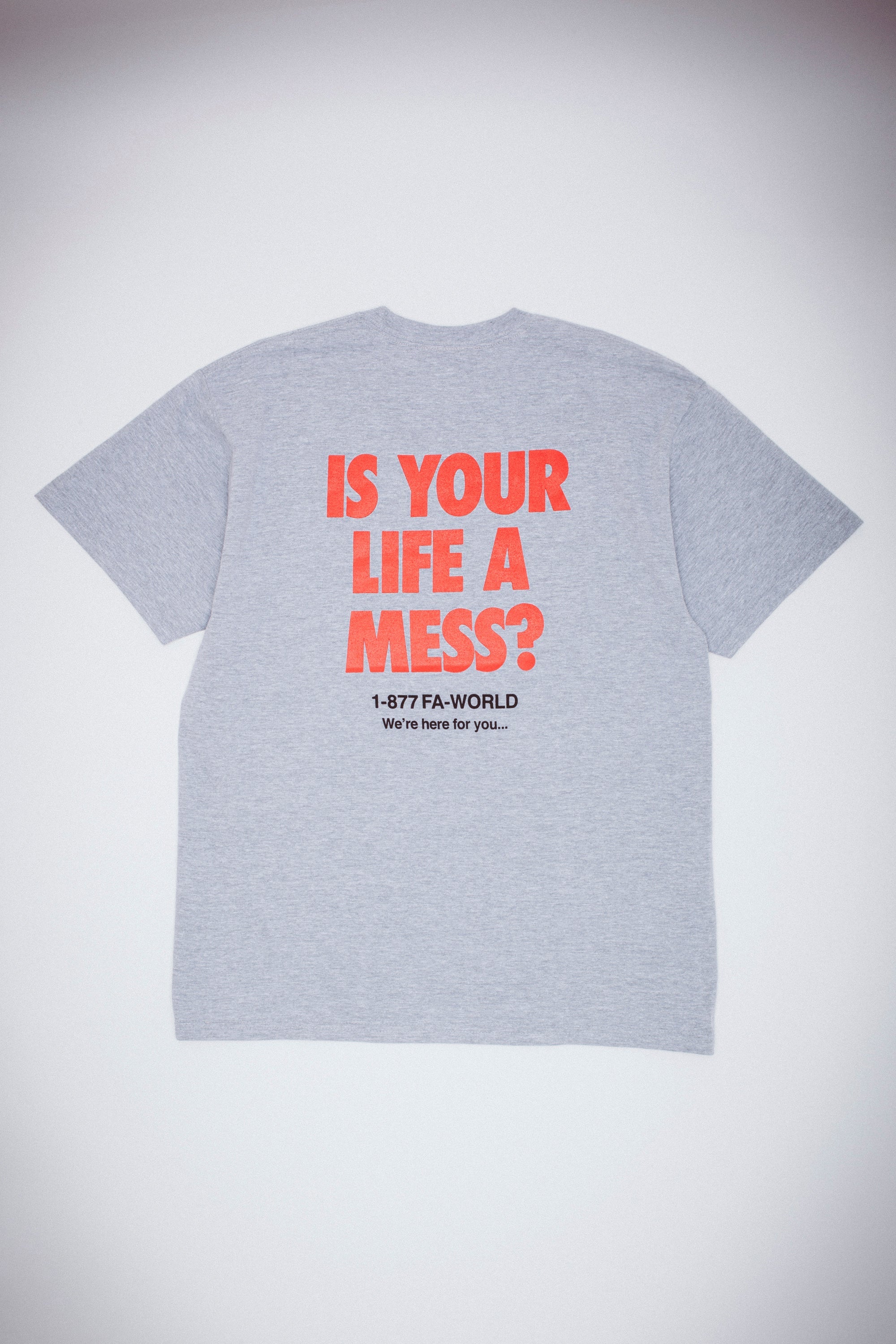 Fucking Awesome - Is Your Life A Mess Tee - Heather Grey